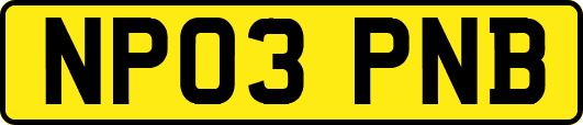 NP03PNB