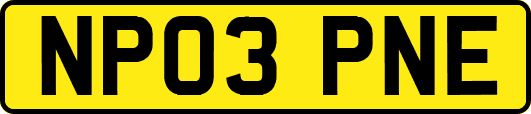 NP03PNE