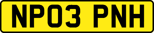 NP03PNH