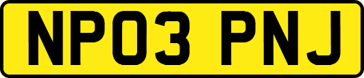 NP03PNJ
