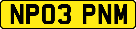 NP03PNM