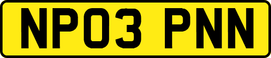 NP03PNN