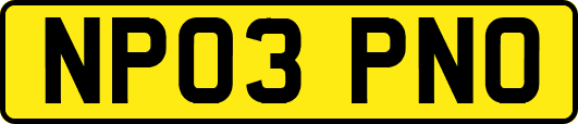 NP03PNO