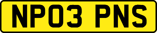 NP03PNS