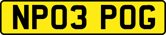 NP03POG