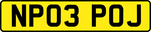 NP03POJ