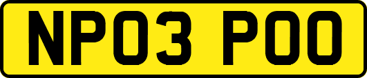 NP03POO