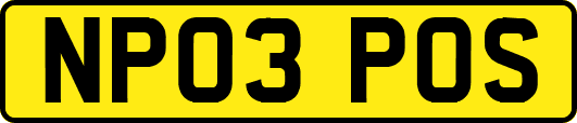 NP03POS