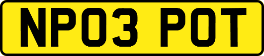 NP03POT