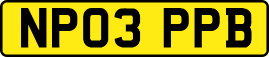 NP03PPB