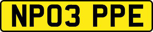 NP03PPE
