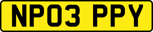 NP03PPY