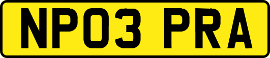 NP03PRA