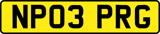 NP03PRG