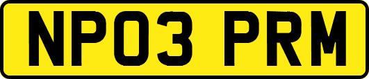 NP03PRM