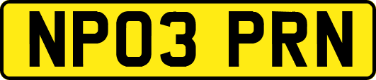 NP03PRN
