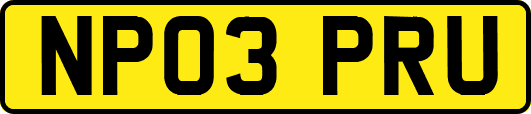 NP03PRU
