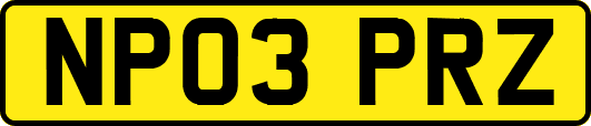 NP03PRZ