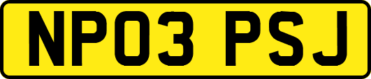NP03PSJ