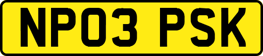 NP03PSK