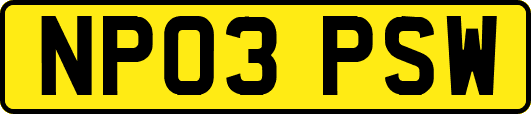 NP03PSW