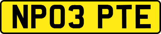 NP03PTE
