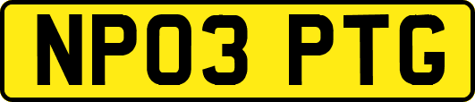 NP03PTG
