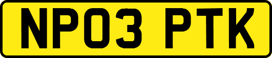 NP03PTK