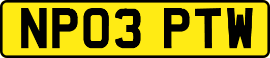 NP03PTW