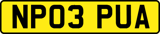 NP03PUA