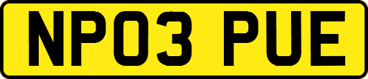 NP03PUE