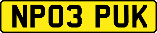 NP03PUK