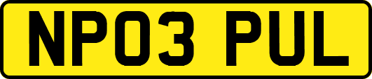 NP03PUL