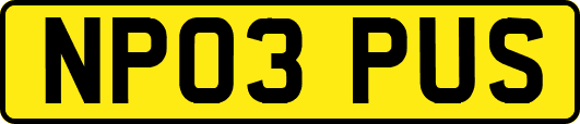NP03PUS