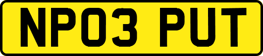 NP03PUT