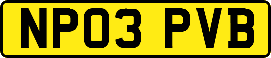 NP03PVB