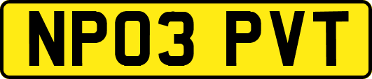 NP03PVT