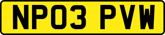 NP03PVW