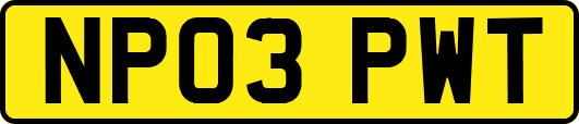 NP03PWT