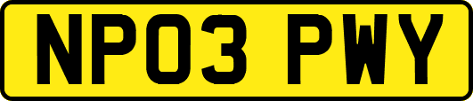 NP03PWY
