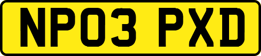 NP03PXD