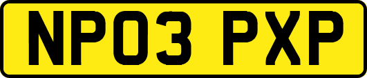 NP03PXP