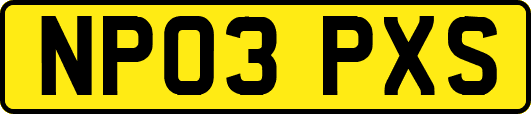 NP03PXS