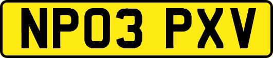 NP03PXV