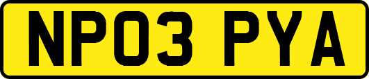 NP03PYA