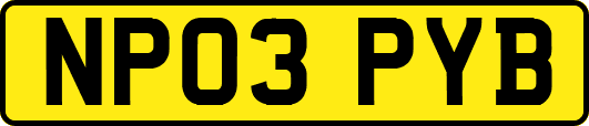 NP03PYB