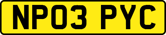 NP03PYC
