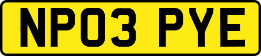 NP03PYE