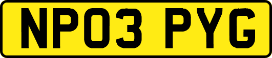 NP03PYG