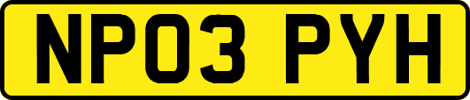 NP03PYH